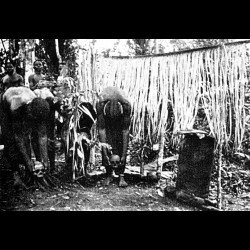 Fang Añgokh-Nlô-Byeri ancestor head